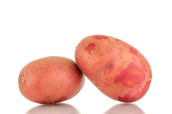 Zwei Rosa Bio Kartoffeln Großaufnahme Isoliert Auf Weißem Hintergrund — Stockfoto