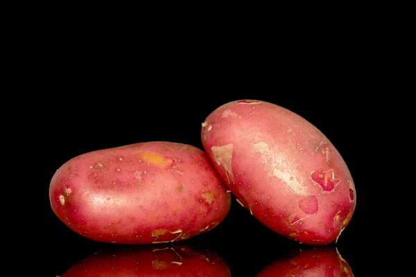 Zwei Ungeschälte Rosa Kartoffeln Großaufnahme Isoliert Auf Schwarzem Hintergrund — Stockfoto
