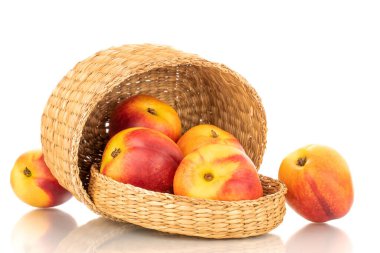 Birkaç sulu organik nektarin kamış sepeti, yakın plan, beyaz arka planda izole edilmiş..