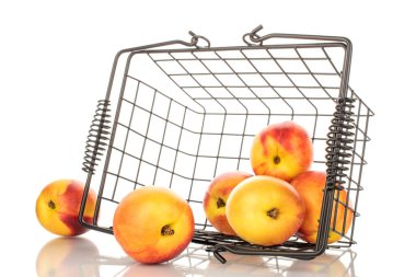 Birkaç sulu organik nektarin sepeti, yakın plan, beyaz arka planda izole edilmiş..