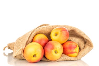 Birkaç sulu organik nektarin, jüt torbası, yakın plan, beyaz arka planda izole edilmiş..