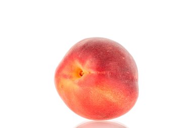Bir olgun kırmızı kayısı, yakın plan, beyaz arka plan izole.
