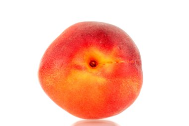 Bir olgun kırmızı kayısı, yakın plan, beyaz arka plan izole.