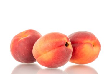 Üç olgun kırmızı kayısı, yakın plan, beyaz arka planda izole edilmiş..