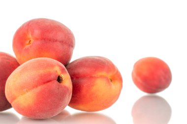 Birkaç tane olgun kırmızı kayısı, yakın plan, beyaz arka planda izole edilmiş..