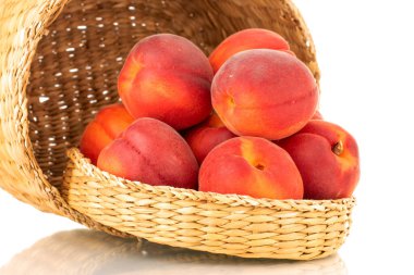 Saman sepetinde birkaç olgun kırmızı kayısı, yakın plan, beyaz arka planda izole edilmiş..