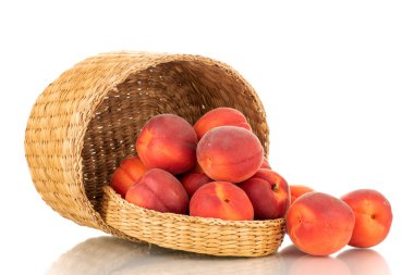 Saman sepetinde birkaç olgun kırmızı kayısı, yakın plan, beyaz arka planda izole edilmiş..