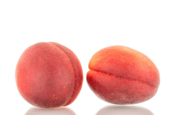 Zwei Reife Rote Aprikosen Nahaufnahme Isoliert Auf Weißem Hintergrund — Stockfoto