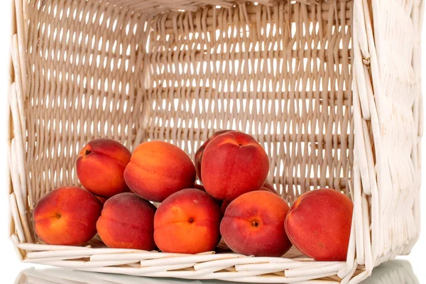 Several Ripe Red Apricots Basket Close — Stock Photo, Image