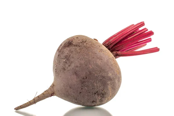 One Sweet Red Beet Close White Background — 图库照片