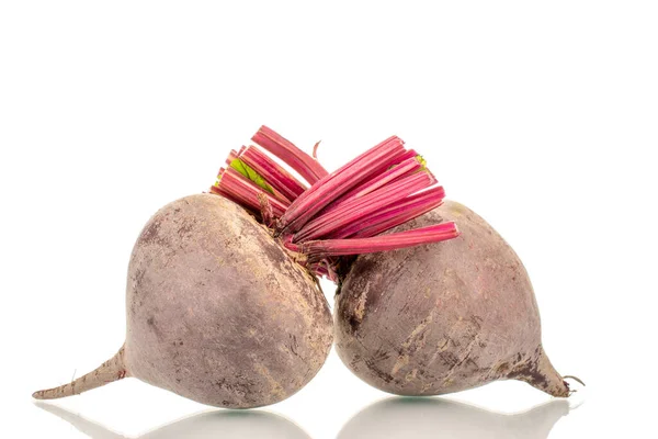 Two Sweet Red Beets Close White Background — Φωτογραφία Αρχείου