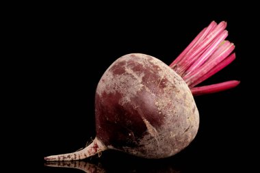 One sweet red beet, close-up, on a black background.