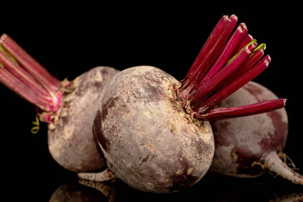 Three sweet red beets, close-up, on a black background.