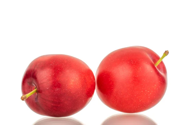 Two Organic Juicy Cherry Plums Close Isolated White Background — Stock Photo, Image