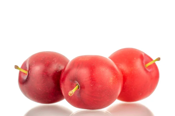 Three Organic Juicy Cherry Plums Close Isolated White Background — Stockfoto