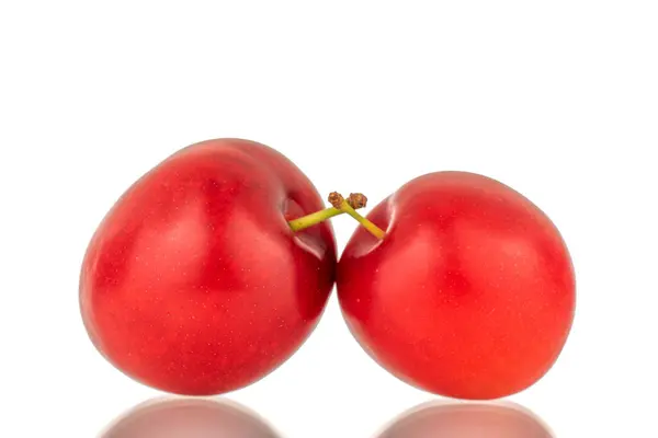 Two Organic Juicy Cherry Plums Close Isolated White Background —  Fotos de Stock