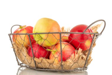 Bir sepette birkaç olgun kırmızı elma, yakın plan, beyaz arka planda izole edilmiş..