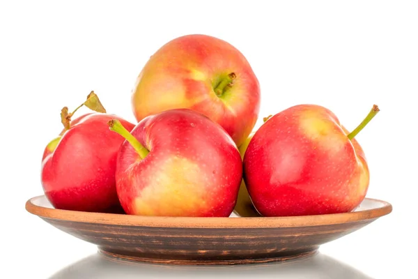 Several Ripe Sweet Red Apples Clay Dish Close Isolated White — Foto de Stock