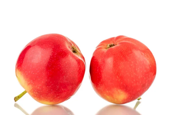 Two Red Sweet Apples Close White Background — Stockfoto