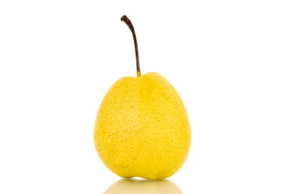 One Organic Bright Yellow Pear Close Isolated White Background — ストック写真