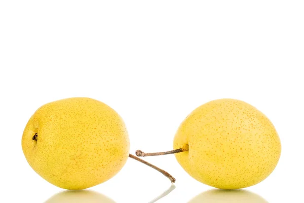 Two Organic Bright Yellow Pears Close Isolated White Background — Stock Photo, Image