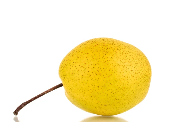 One Organic Bright Yellow Pear Close Isolated White Background — Stock Photo, Image