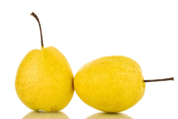 Two Organic Bright Yellow Pears Close Isolated White Background —  Fotos de Stock