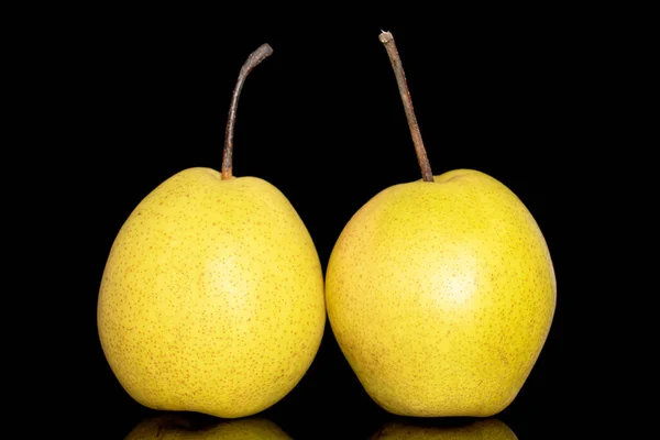 Two Organic Bright Yellow Pears Close Isolated Black Background — Stockfoto