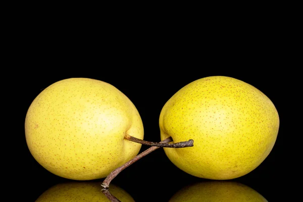 Two Organic Bright Yellow Pears Close Isolated Black Background — Zdjęcie stockowe