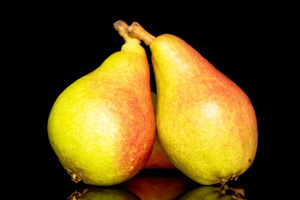 Two organic juicy pears, close-up, isolated on a black background.