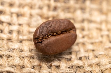 One coffee bean on jute fabric (macro)