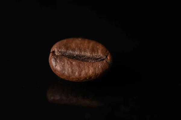 One Coffee Bean Black Background — Fotografia de Stock
