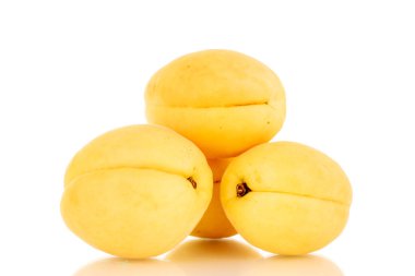 Three bright yellow juicy pineapple apricots, macro, isolated on a white background.
