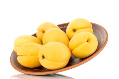 Several bright yellow juicy pineapple apricots in a pottery, macro, isolated on a white background.