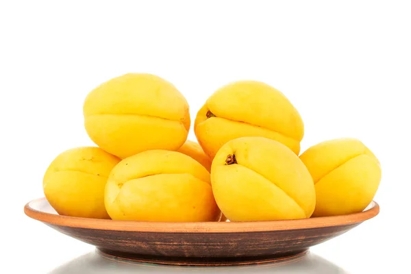 Several Bright Yellow Juicy Pineapple Apricots Pottery Macro Isolated White — Foto Stock