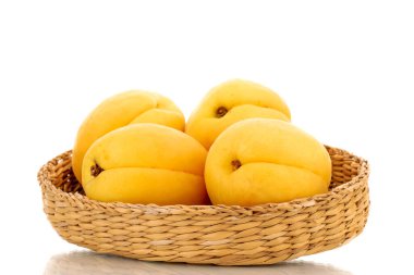 Several bright yellow juicy pineapple apricots in a straw bowl, macro isolated on a white background.