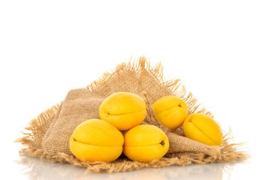 Several bright yellow juicy pineapple apricots on a jute napkin, macro isolated on a white background.