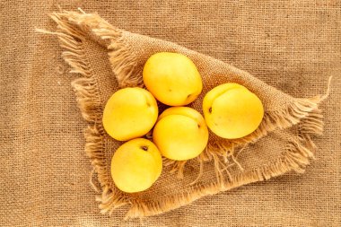 Several bright yellow juicy pineapple apricots on a jute napkin, macro, top view.
