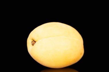 One bright yellow juicy apricot, macro, isolated on a black background.