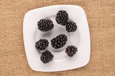 Several sweet blackberries with a white ceramic saucer on burlap, close-up, top view.