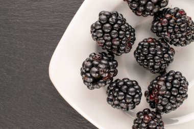 A few sweet blackberries with a white ceramic saucer on a slate stone, close-up, top view.