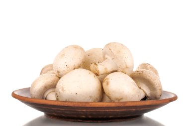 Kil tabaktaki birkaç taze mantar, yakın plan, beyaz arka planda izole edilmiş..