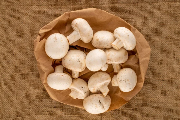 향취가 유기농 버섯들은 수있습니다 — 스톡 사진