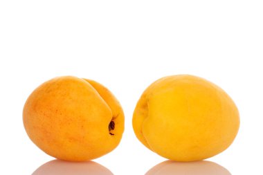 İki sulu ananas kayısı, yakın plan, beyaz üzerine izole edilmiş..