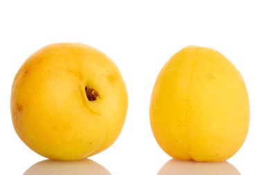 İki organik ananas kayısı, yakın plan, beyaz üzerine izole edilmiş..