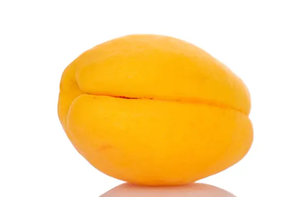 Eine Reife Ananas Aprikose Makro Isoliert Auf Weiß — Stockfoto