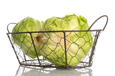 Sepette iki taze lahana, makro, beyaz arka planda izole edilmiş..