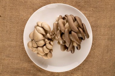 Beyaz seramik tabakta taze organik mantarlar jüt kumaş, makro, üst manzara.