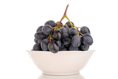 Beyaz arka planda izole edilmiş seramik tabakta bir dal siyah üzüm..