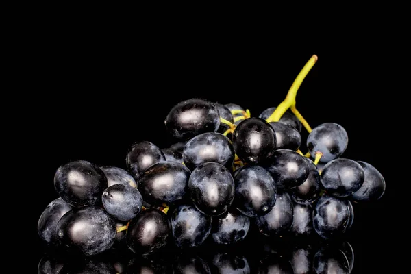 Bir Dal Sulu Siyah Üzüm Makro Siyah Arkaplanda Izole Edilmiş — Stok fotoğraf